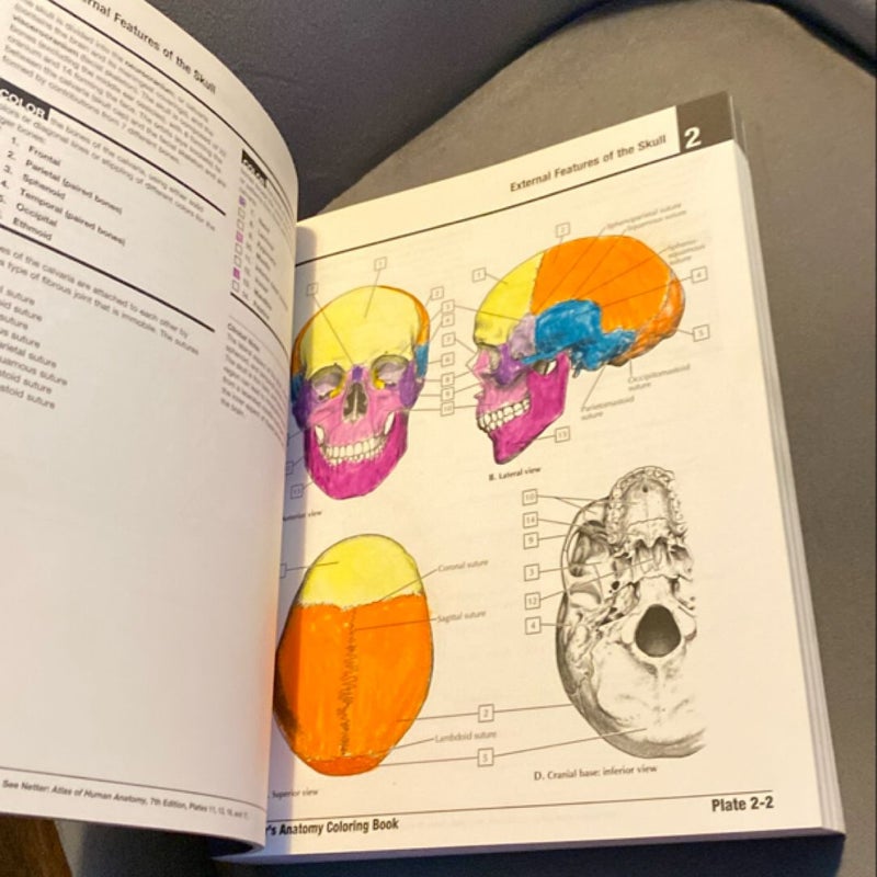 Netter's Anatomy Coloring Book Updated Edition