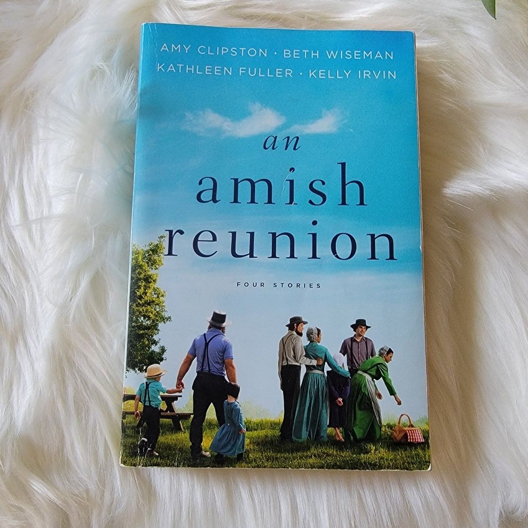 An Amish Reunion