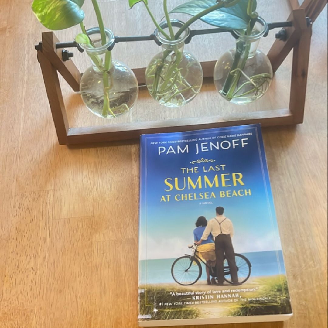 The Last Summer at Chelsea Beach