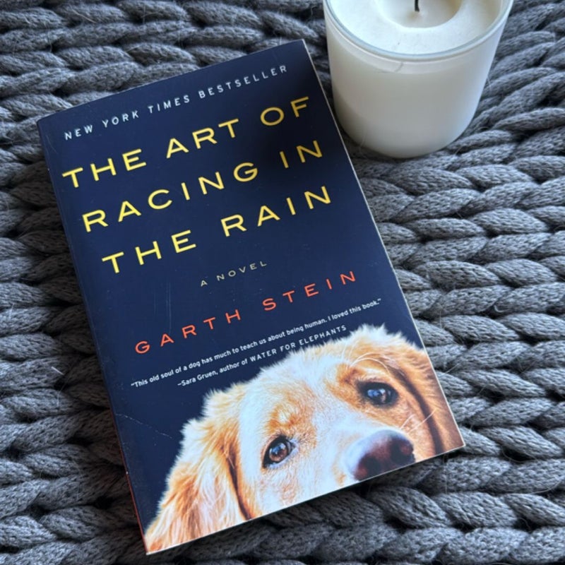 The Art of Racing in the Rain
