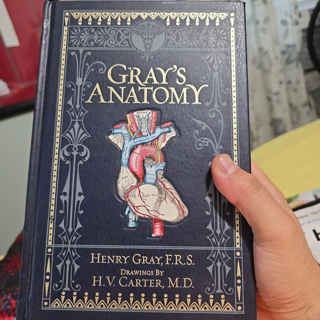 B&N Grays Anatomy Leather Classic - O/P