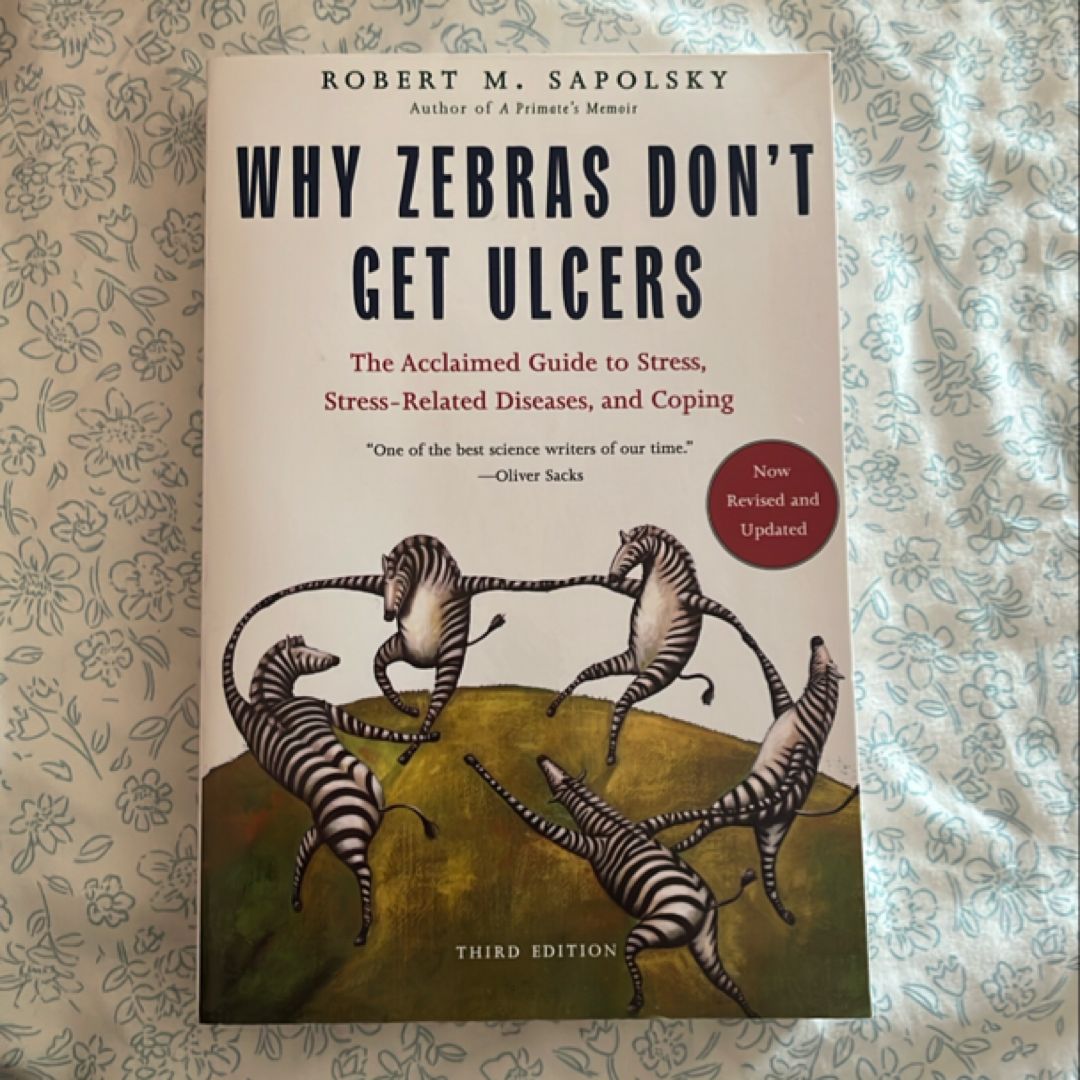 Sale image for 2e04be1b-6c3d-4b42-be90-c6b2c6234d9a-lWNLaC6Mted6icCdVkn8iEHj3g22