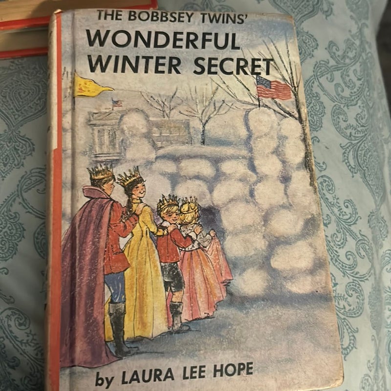 The Bobbsey Twins’ Wonderful Winter Secret