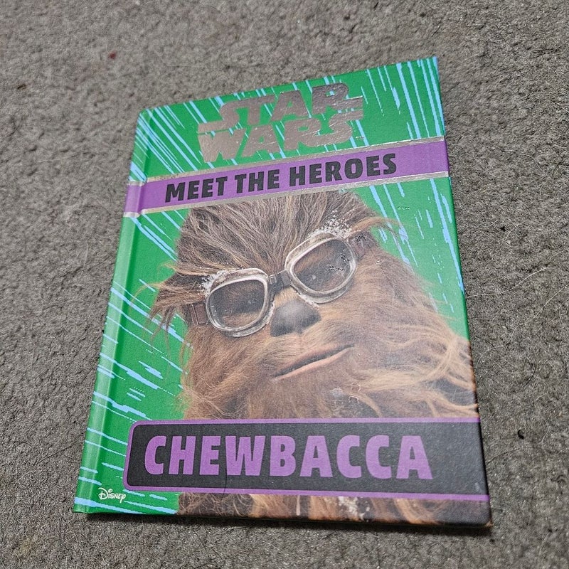 Star Wars Meet the Heroes Chewbacca