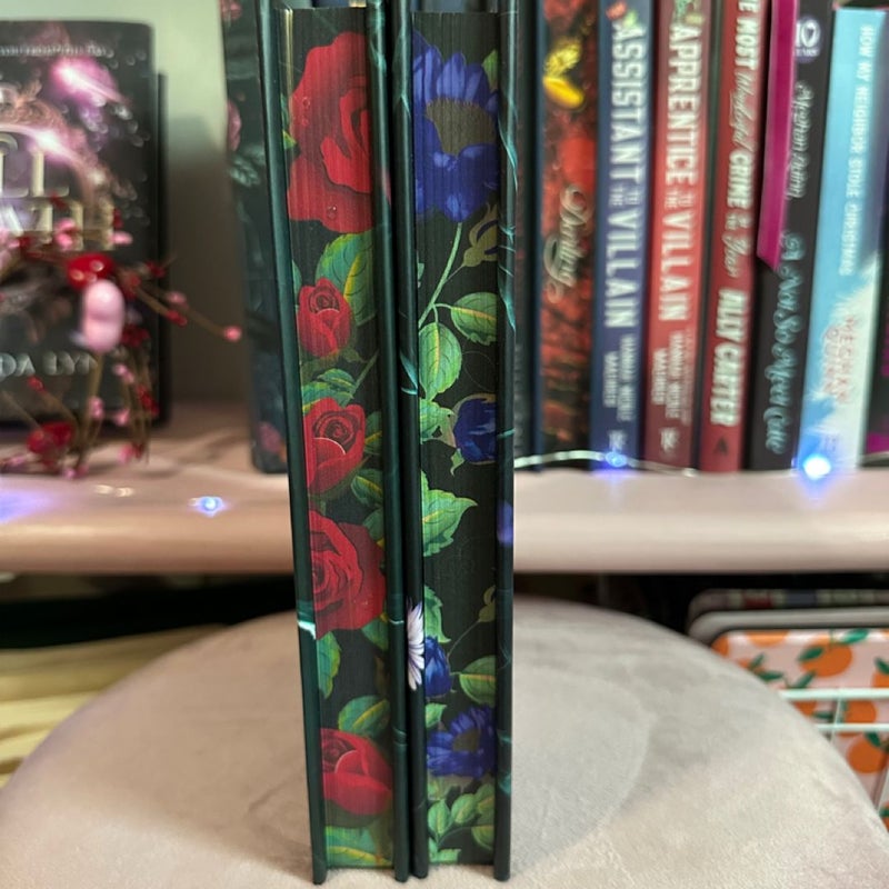 The Coven and The Cursed  (Coven of Bones Series) by Harper L. Woods