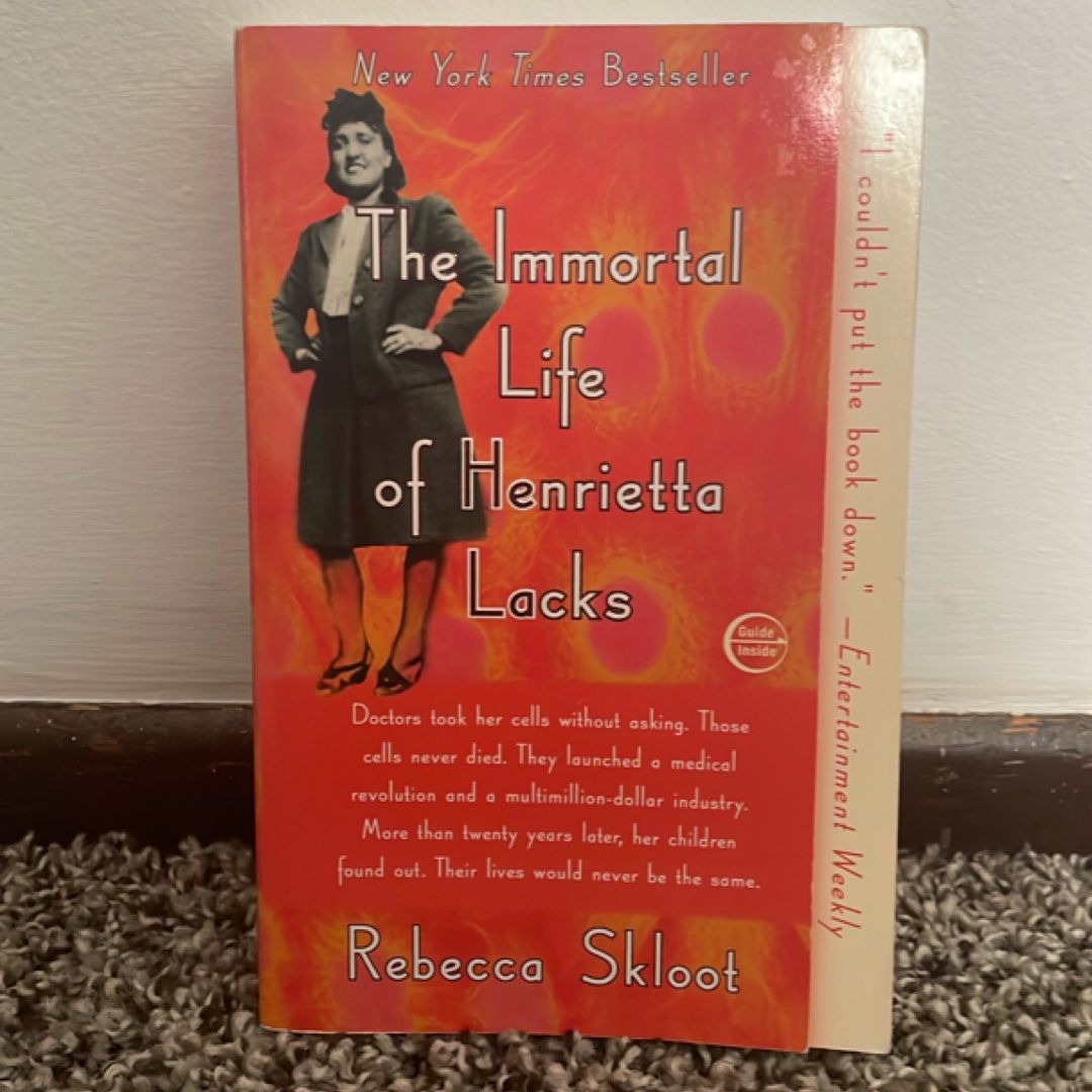 Sale image for 29249383-8a7c-4e95-8bad-5a7ed0a26cbf-39DjYB6cvtQ9YvTKtqIYnnP17vN2