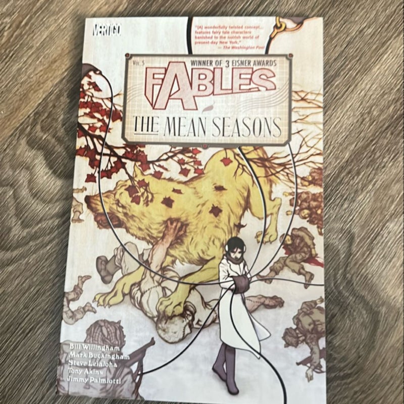 Fables Vol. 5: the Mean Seasons