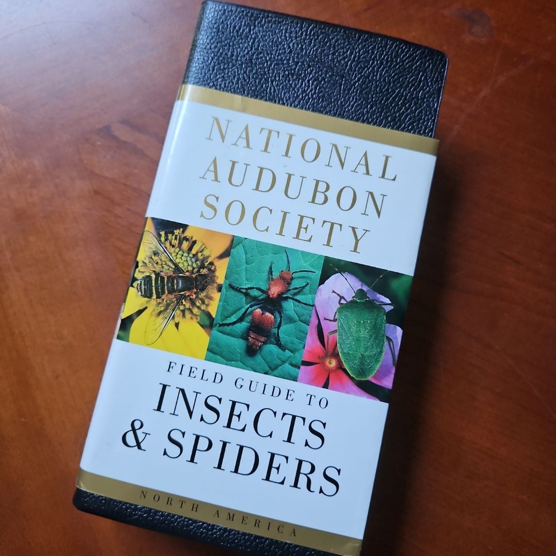 National Audubon Society Field Guide to Insects and Spiders