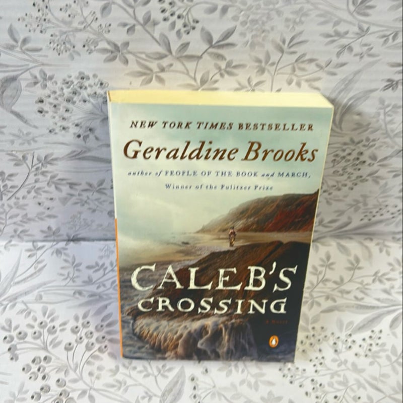 Caleb's Crossing