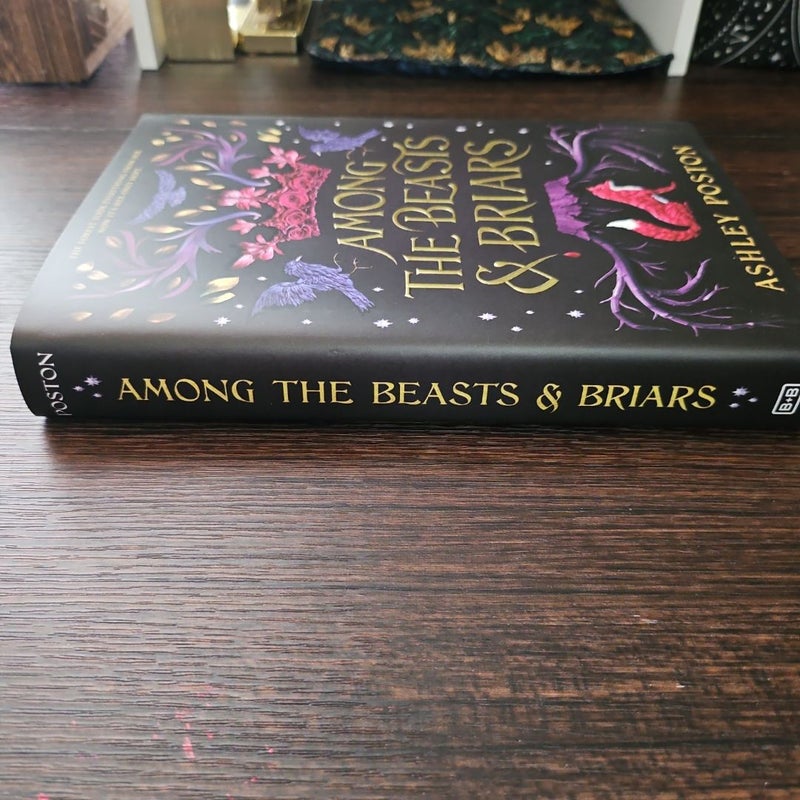 Owlcrate Among the Beasts & Briars