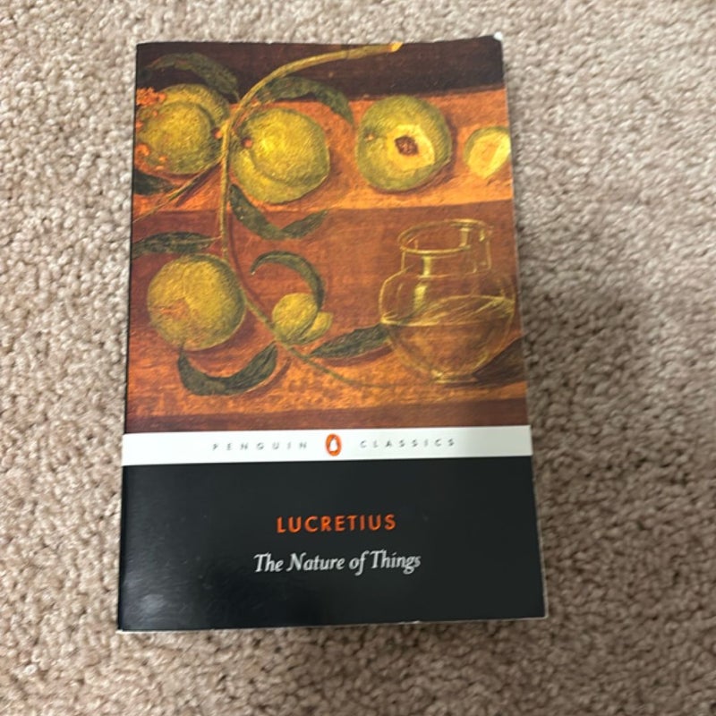 On the Nature of the Universe