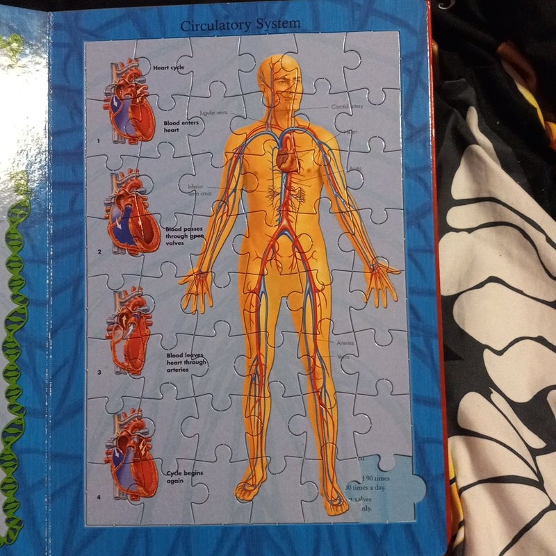 Human Body Jigsaw Book