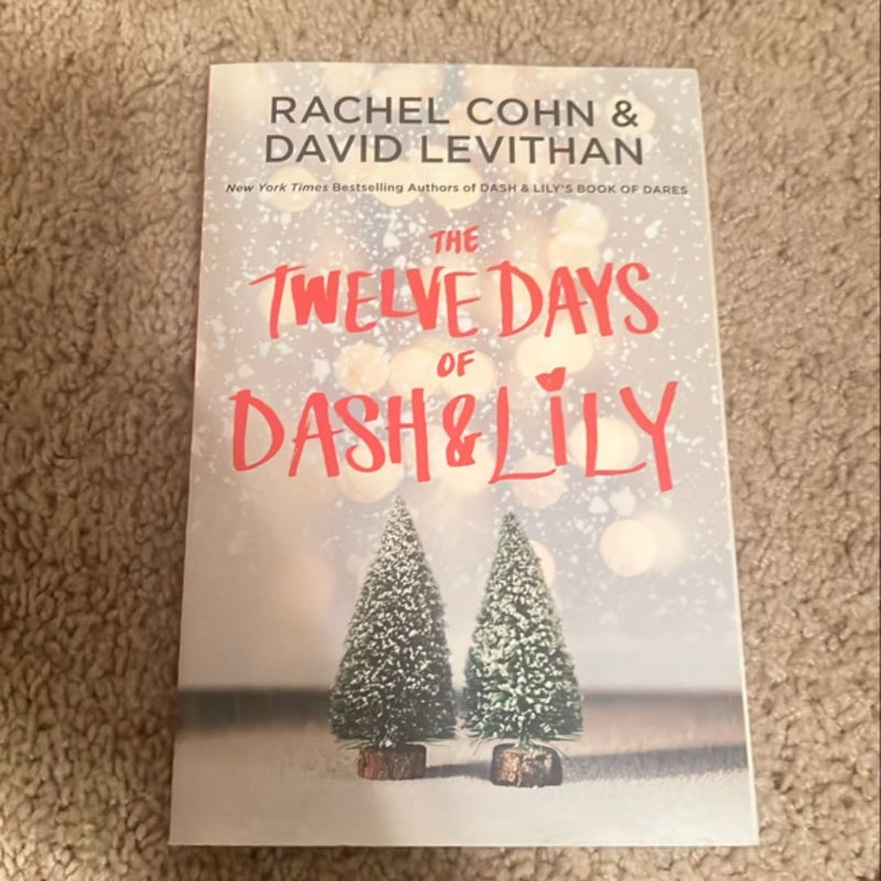 The Twelve Days of Dash and Lily