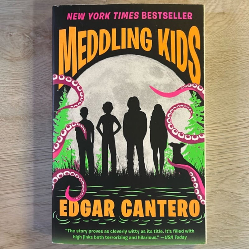 Meddling Kids