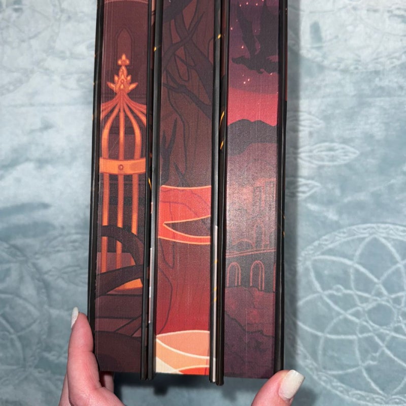 Bookish Box Flesh and Fire Series 1-3