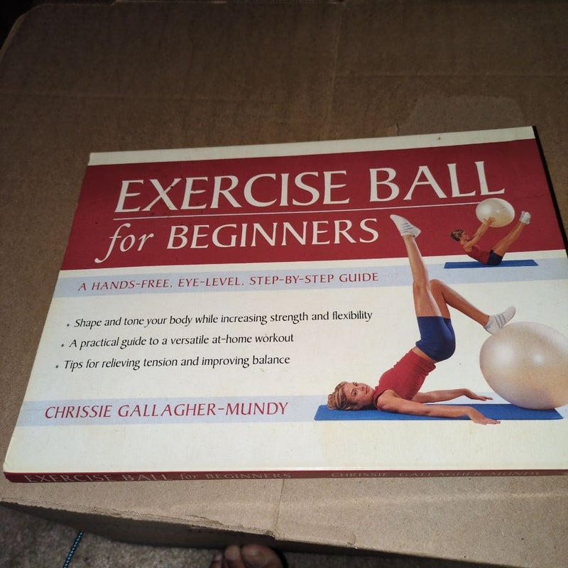 Exercise Ball for Beginners 