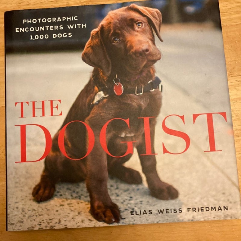 The Dogist
