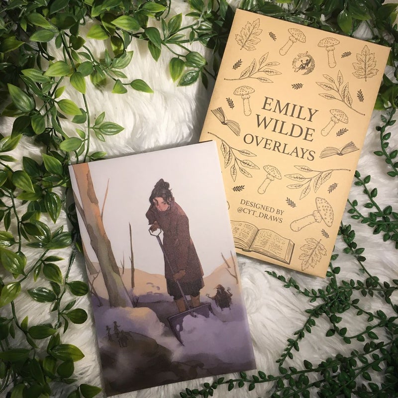 FairyLoot Exclusive Emily Wilde’s Encyclopedia of Fairies Overlay Set