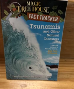 Tsunamis and Other Natural Disasters