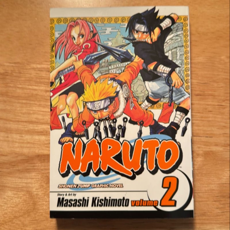 Naruto, Vol. 2