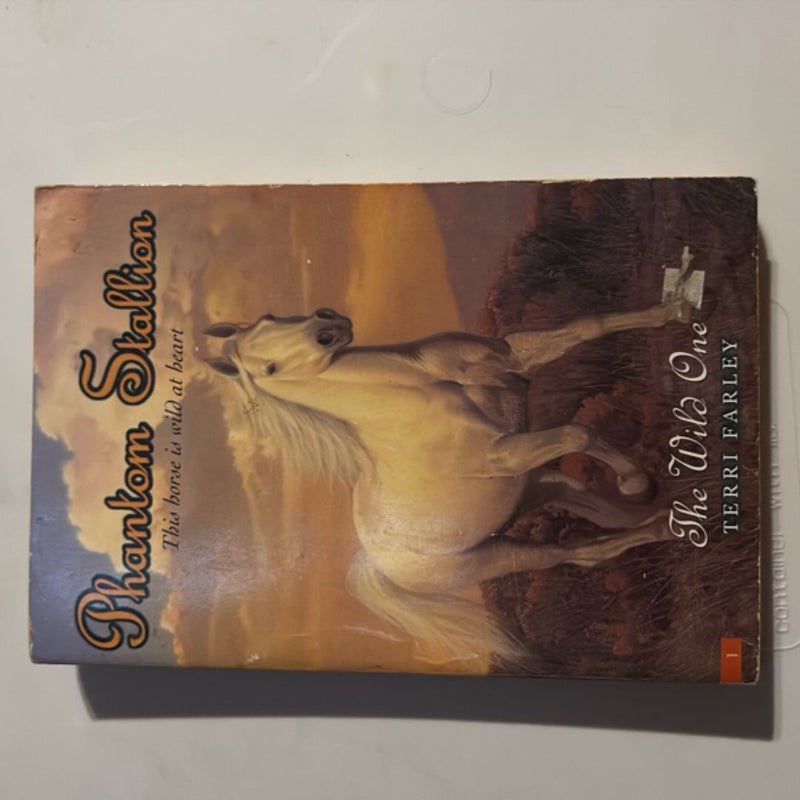 Phantom Stallion (The Wild One)