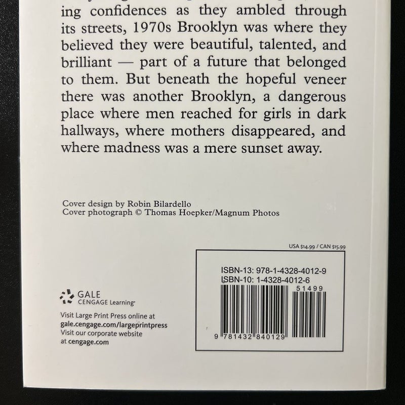 Another Brooklyn (Large Print Edition)