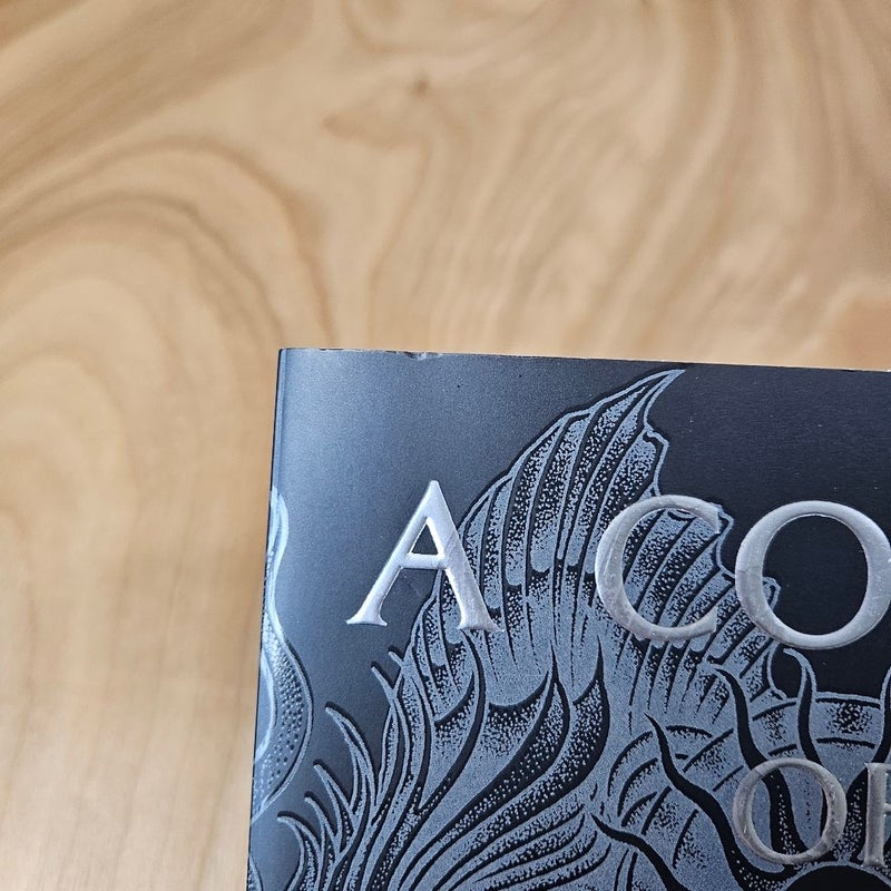 A Court Of Silver Flames Barnes and Noble Exclusive Edition 