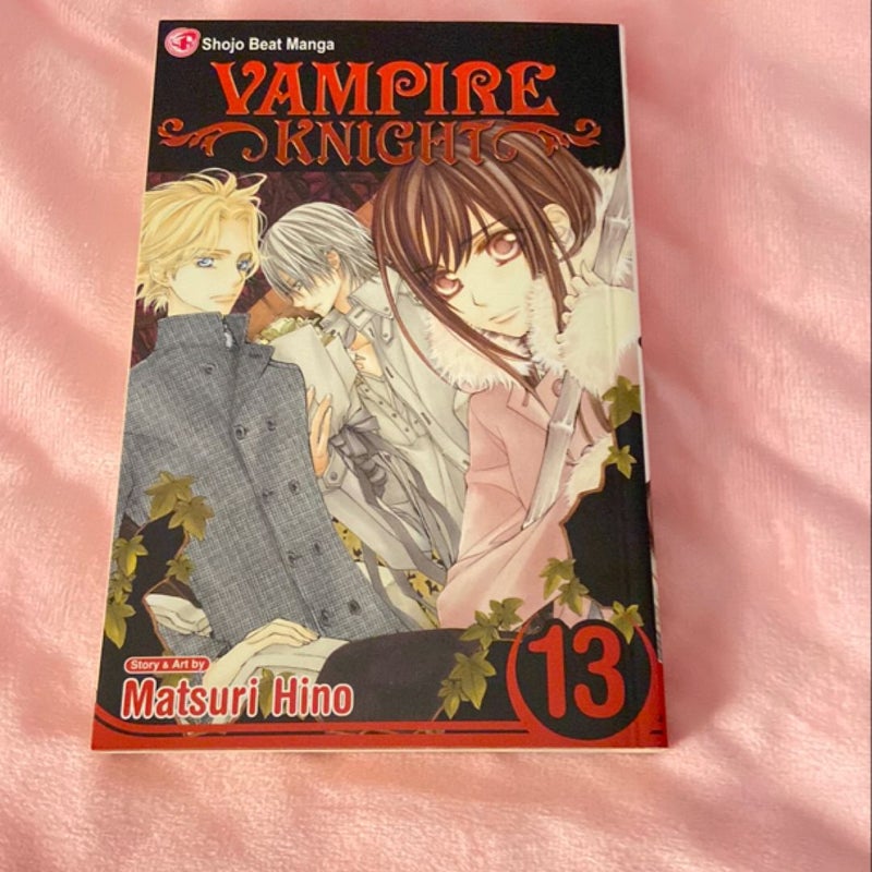 Vampire Knight, Vol. 13