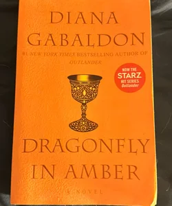 Dragonfly in Amber