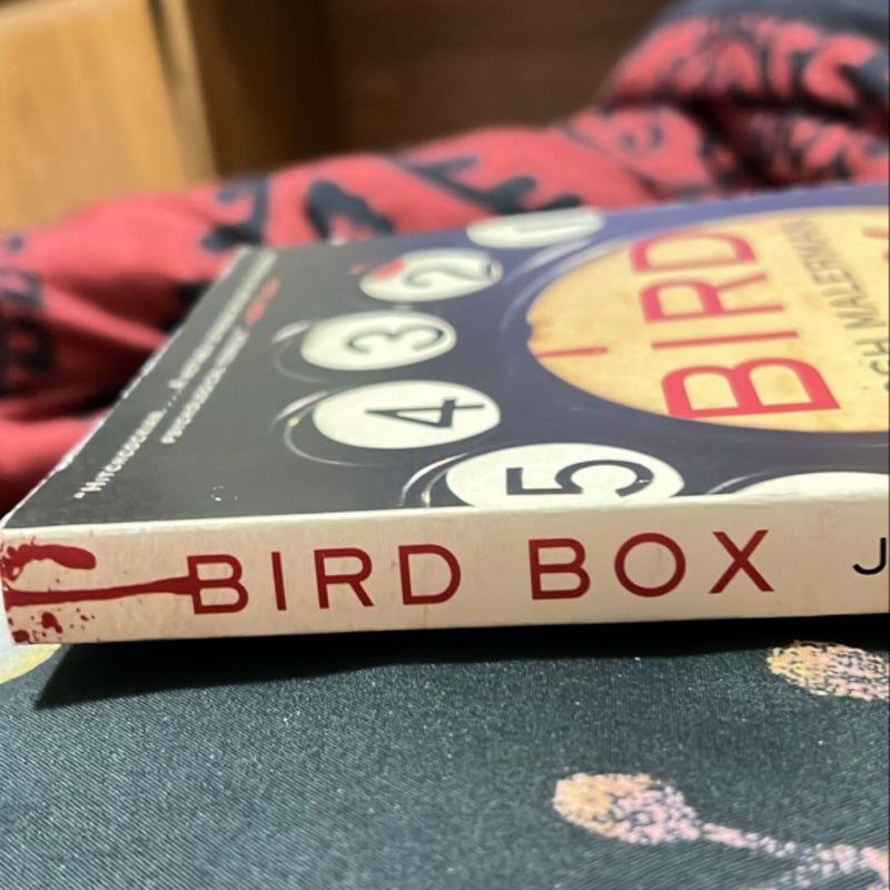 Bird Box