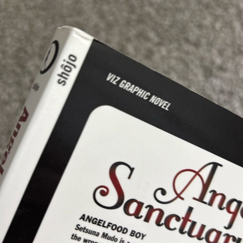 Angel Sanctuary, Vol. 5