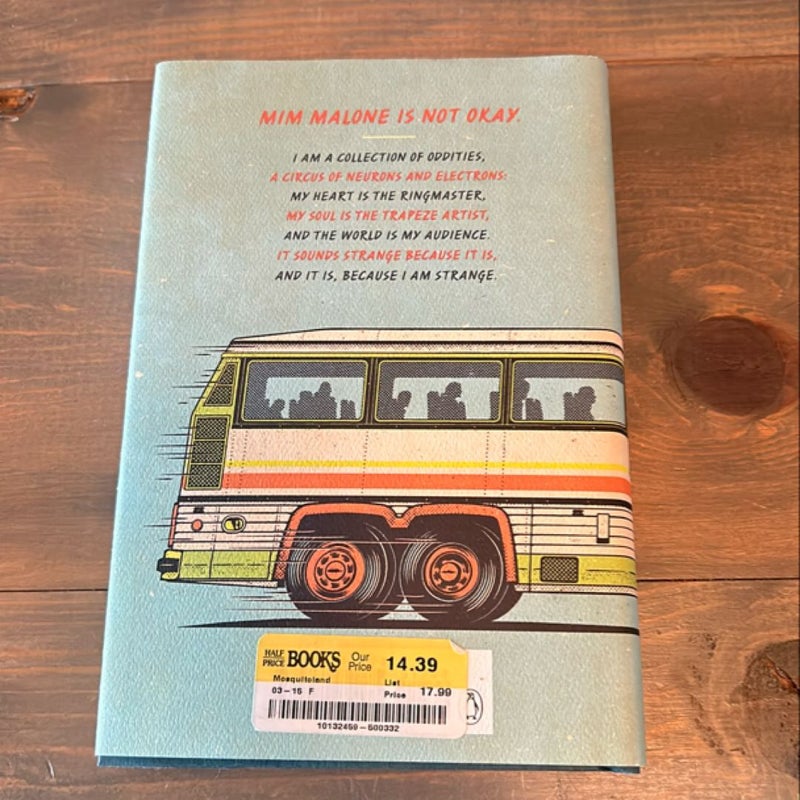 Mosquitoland 