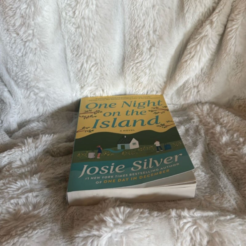 One Night on the Island