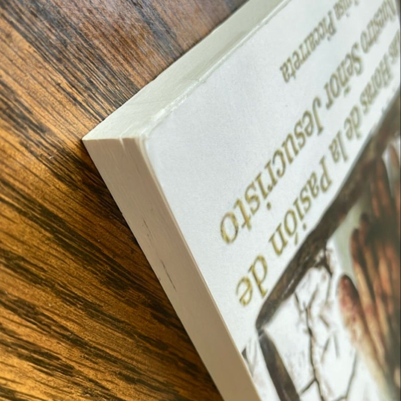 Las Horas de la Pasión de Nuestro Señor Jesucristo by Luisa Picarreta