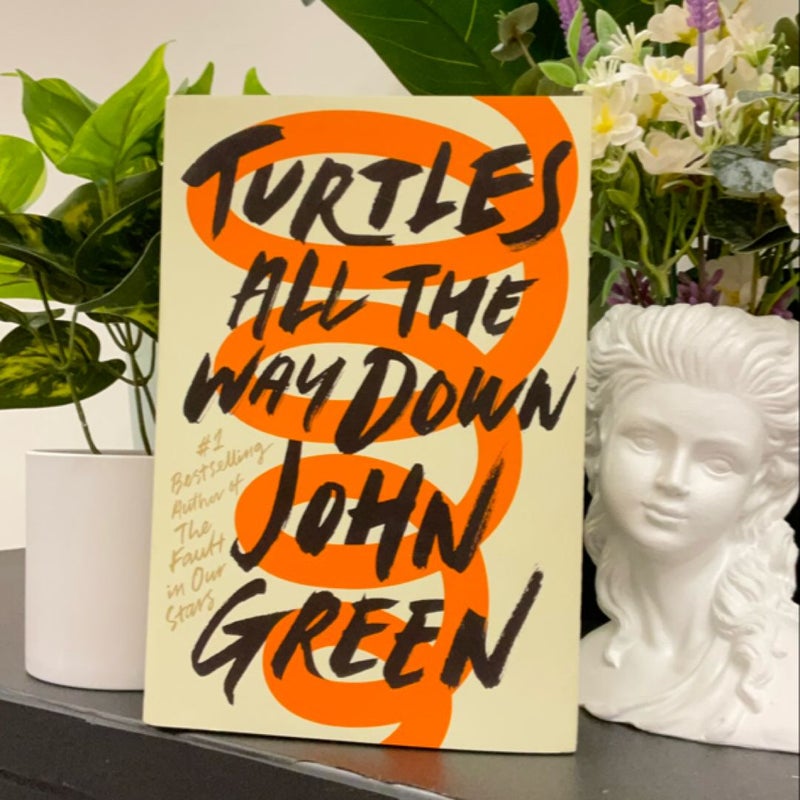 Turtles All the Way Down