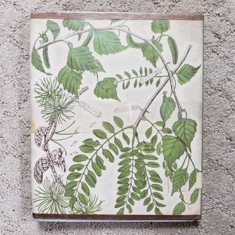 The First Book of Trees (8th Printing, 1951)