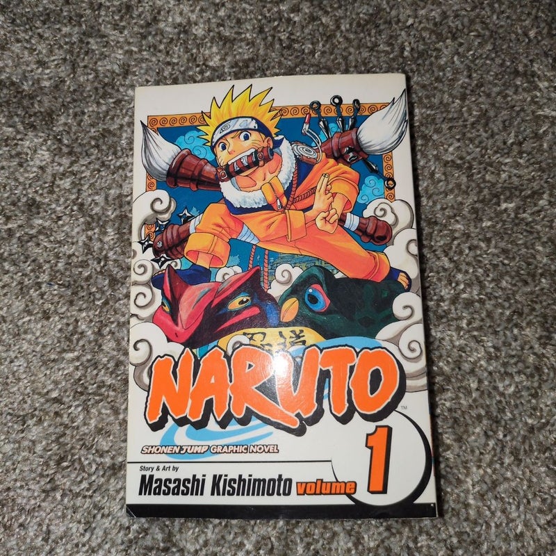 Naruto, Vol. 1