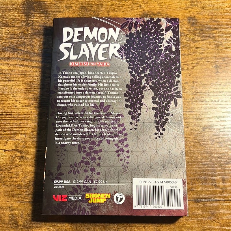 Demon Slayer: Kimetsu No Yaiba, Vol. 2