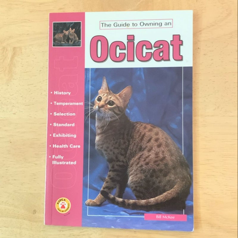 The Guide to Owning an Ocicat