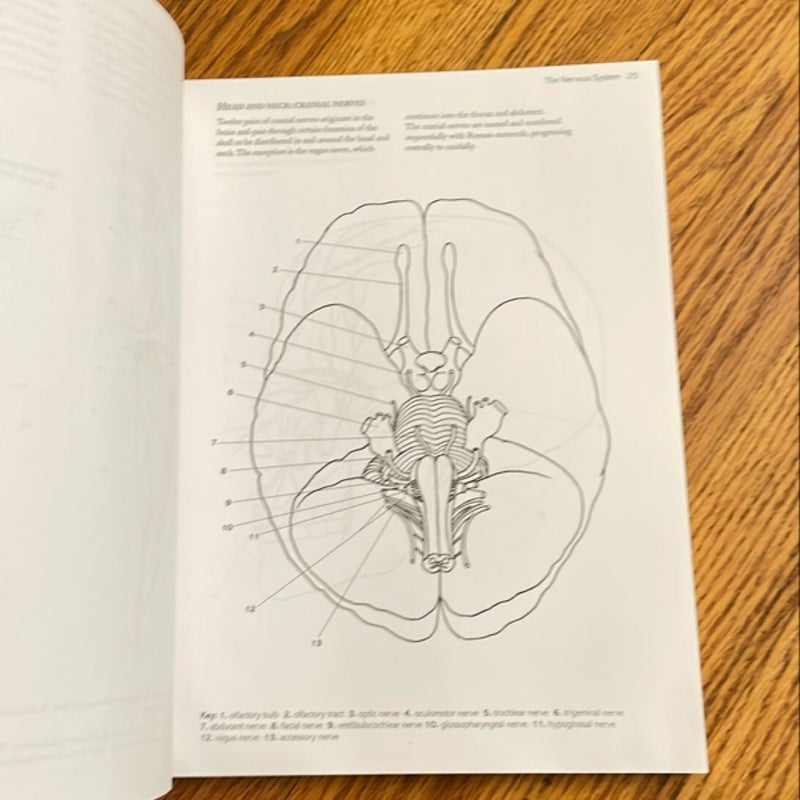 Anatomy Colouring Book