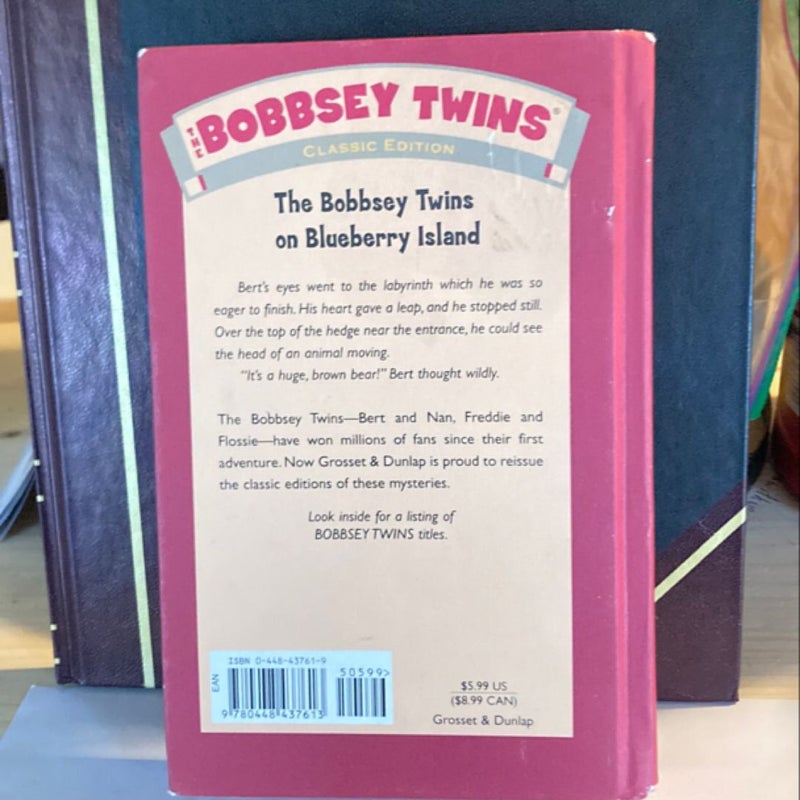 The Bobbsey Twins on Blueberry Island