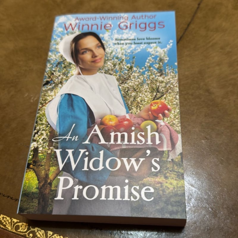 An Amish Widow's Promise