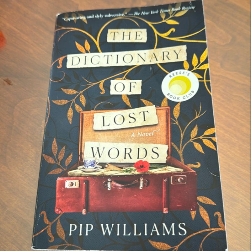 The Dictionary of Lost Words