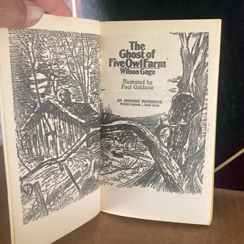 The Ghost of Five Owl Farm (VINTAGE )