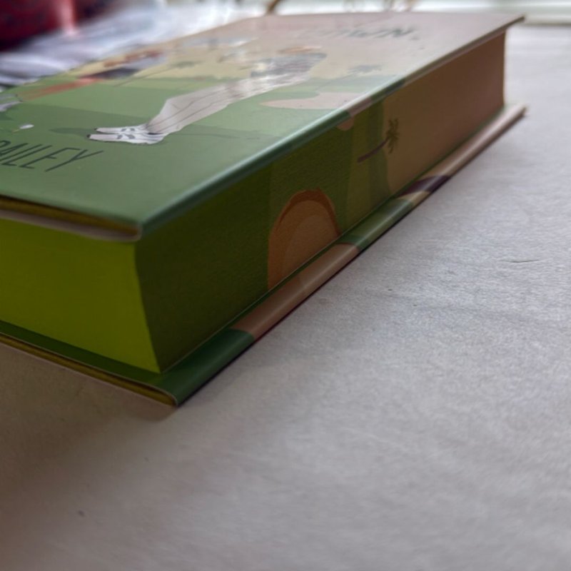 Fangirl Down - Afterlight 