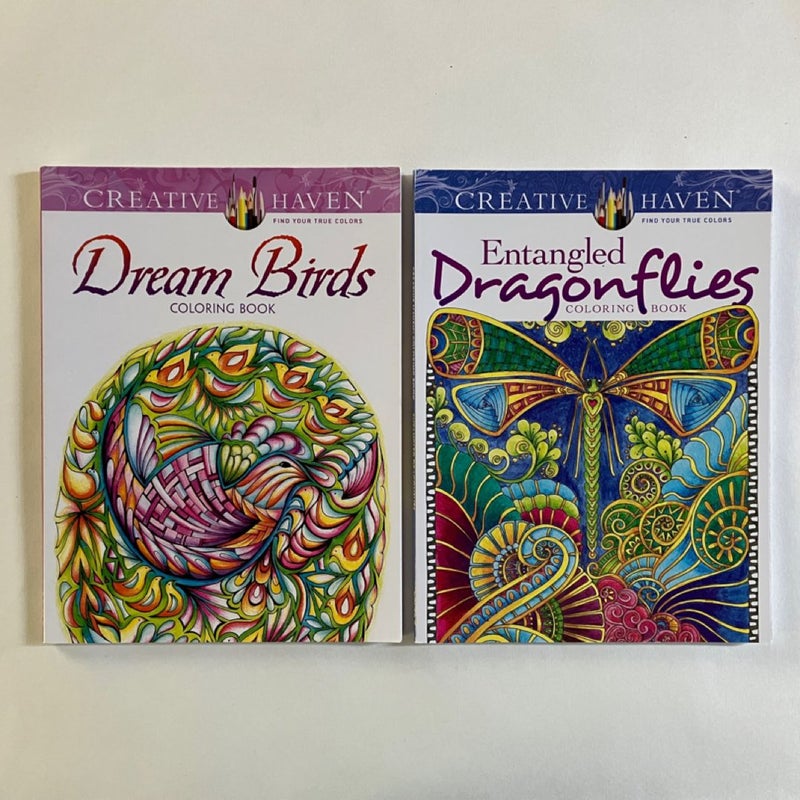 Creative Haven Entangled Dragonflies & Dream Birds Adult Coloring Books