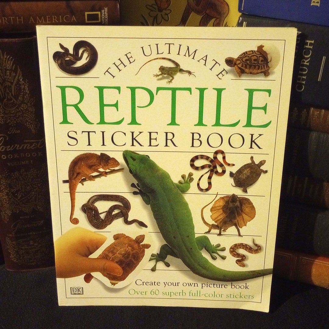 Reptile