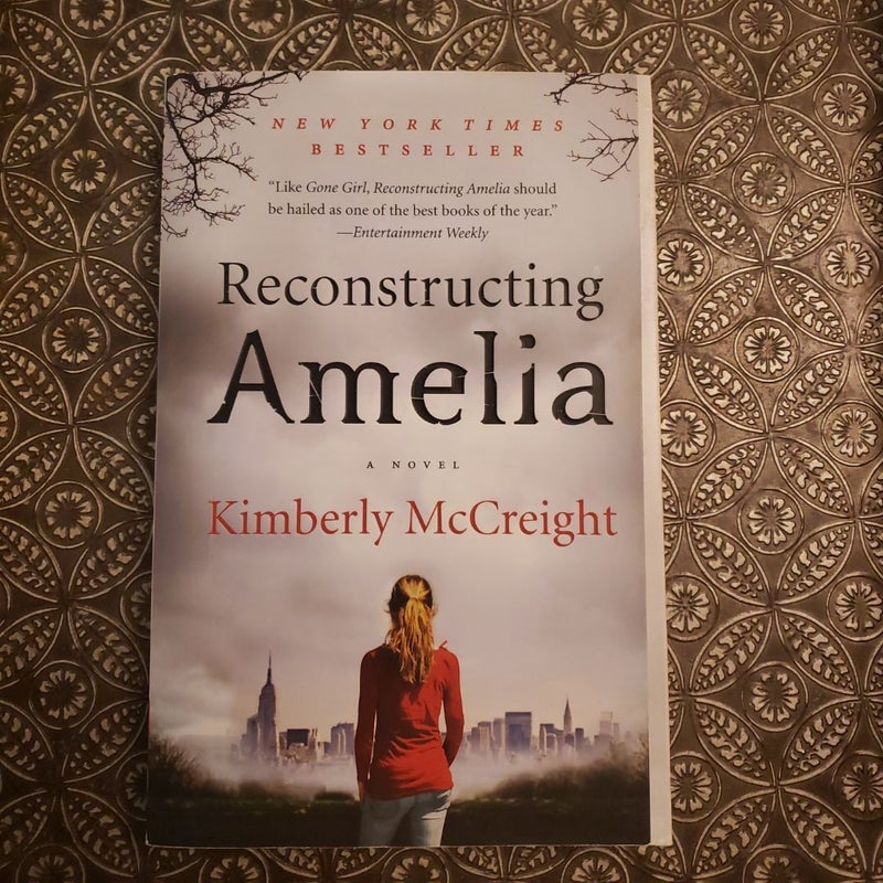 Reconstructing Amelia