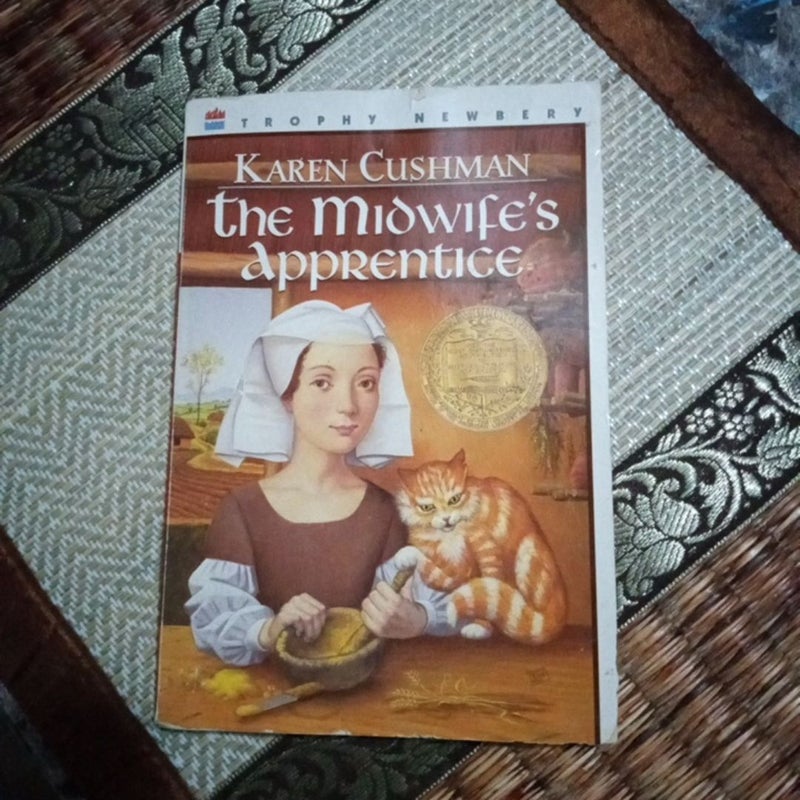 the midwifes apprentice 