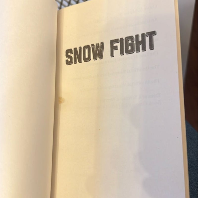 Snow Fight